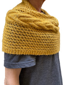 Golden pashmina wrap styled as a shoulder warmer.