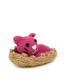 Maroon Cat in a Jute Basket
