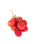 Tartous-Grown Lychee Fruit | Juicy and Sweet