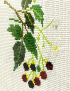 Berry Branch Wall Frame