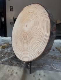 Fan Alkhashabeyat