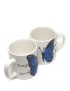 Pair of white ceramic mugs with a blue butterfly design and Arabic calligraphy.