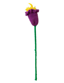 Purple crochet thistle flower on green stem.