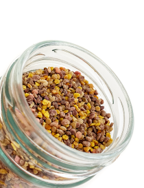 Close up of yellow and purple bee pollen pellets
