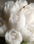 Macro close-up shot focusing on the intricate wax texture of the individual tulip petals.