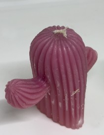 Cactus candle holder