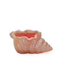 Murex Shell Concrete candle